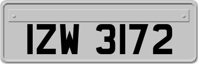 IZW3172