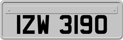 IZW3190