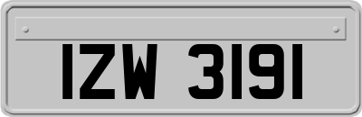 IZW3191