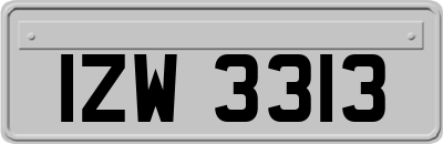 IZW3313