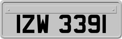 IZW3391