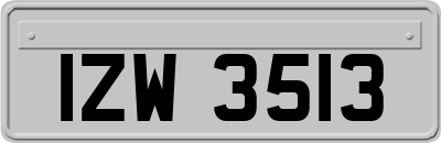 IZW3513