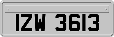 IZW3613