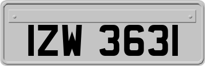 IZW3631