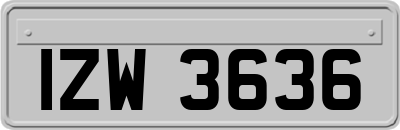 IZW3636