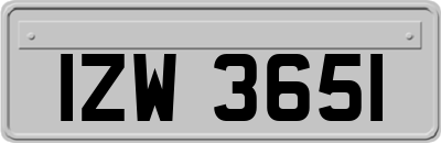 IZW3651