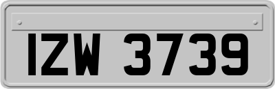 IZW3739