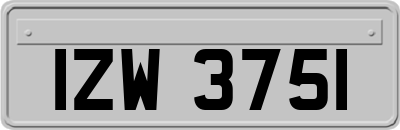 IZW3751