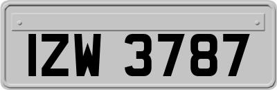 IZW3787