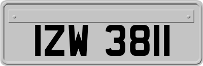 IZW3811