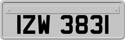 IZW3831
