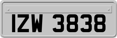 IZW3838