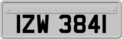 IZW3841