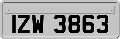 IZW3863