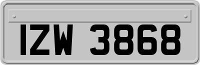 IZW3868