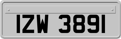 IZW3891