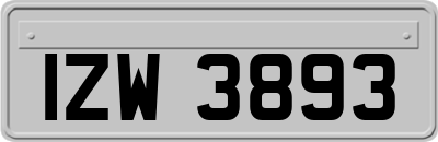 IZW3893