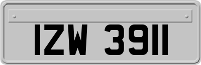 IZW3911