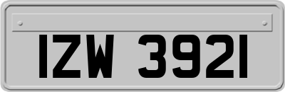 IZW3921