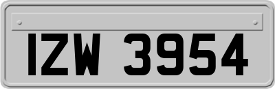 IZW3954