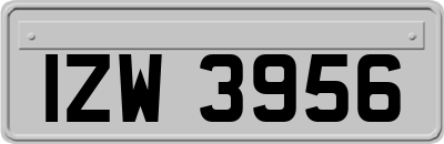 IZW3956