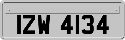 IZW4134
