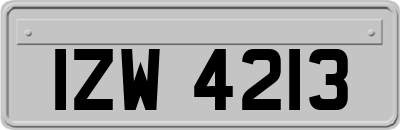 IZW4213