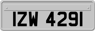 IZW4291