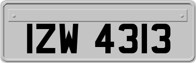 IZW4313