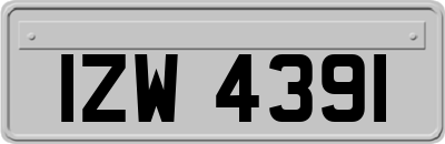 IZW4391