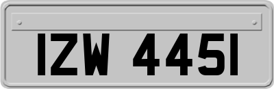 IZW4451