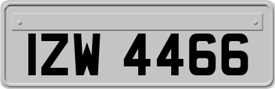 IZW4466