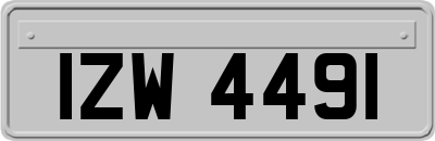 IZW4491