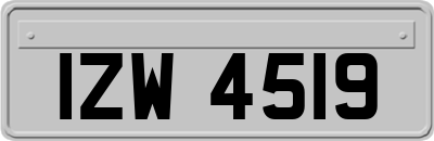 IZW4519