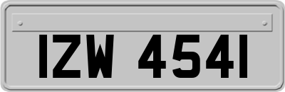 IZW4541