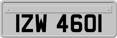 IZW4601