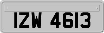 IZW4613
