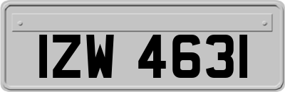 IZW4631