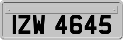 IZW4645