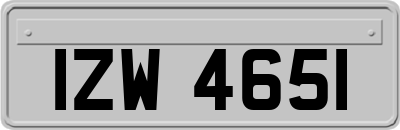 IZW4651