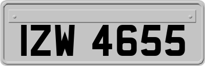 IZW4655