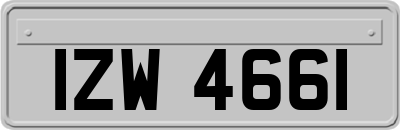 IZW4661
