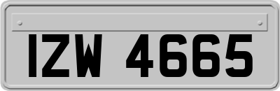 IZW4665