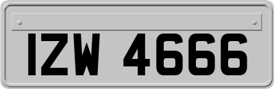 IZW4666