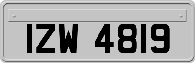IZW4819