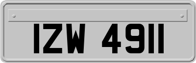 IZW4911
