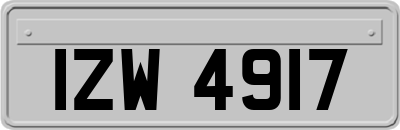 IZW4917