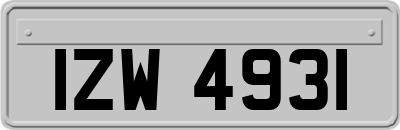IZW4931