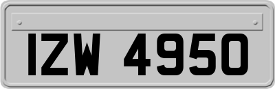 IZW4950