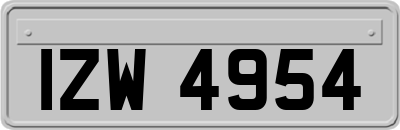 IZW4954